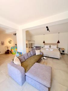 Apademia Comfort Studio 65sqm