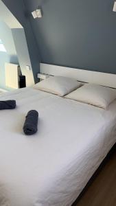 AppartVillage Le vieux Vichy centre T1,T2,T3 - Parking - Thermes