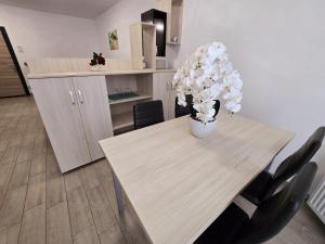 Superb Large Family Apartment - Beach Pool & Spa Resort Alezzi