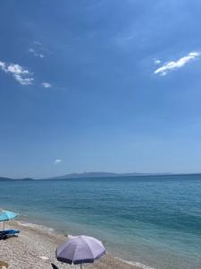 Sea La Vie Anesti