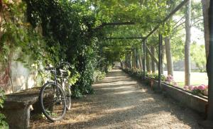 Quinta Da Praia Das Fontes