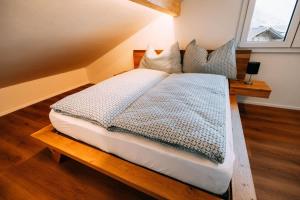 Cozy Apartment with stunning Views in Boenigen