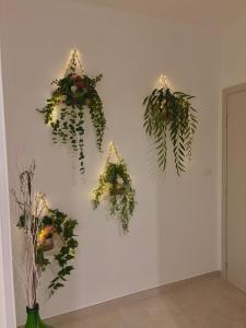 Suite Magna Grecia
