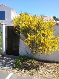 Maison charmante aux Mathes avec jardin clôturé.