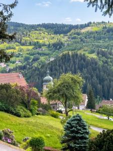 Appartement accueillant aux Tholy 31 m² vue montagne