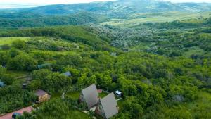Arta Chalet - A-Frame Cabins & Nature Retreat