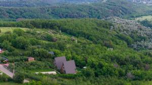 Arta Chalet - A-Frame Cabins & Nature Retreat