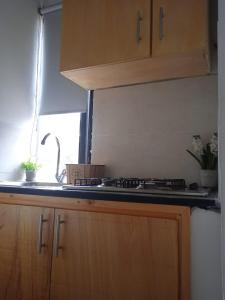 1 bedroom Flat, full kitchen, private bath