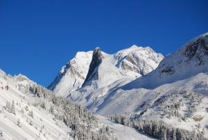 Appart'hotels Madame Vacances Residence Les Jardins de la Vanoise : photos des chambres