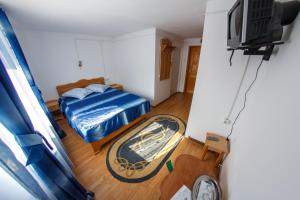 Пансионат Pensiunea Felix Сириу Румыния