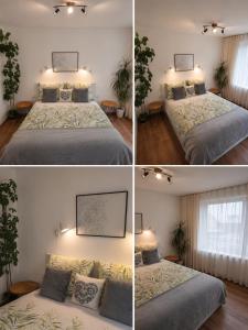 Apartamenty Bolesławiec Spółdzielcza Free parking