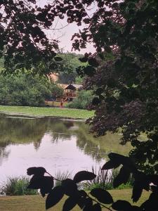 Tente Safari au bord de létang