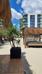 Apartament Melissa Beach Resort Pool & Spa Mamaia-Nord