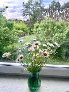 Apartament Joanna