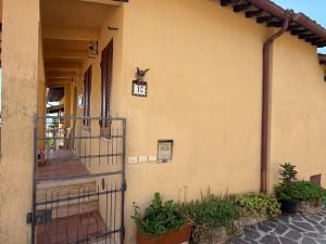 Il Paradiso tra Gli Ulivi
