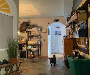 Quirky, bright, spacious room in beautiful Gloucester