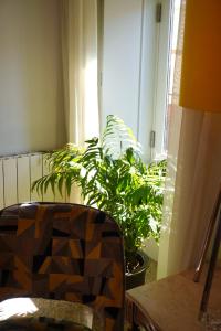 Casas de S Roque