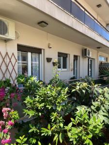 Loupis Chania Central Stay