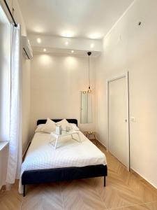 Aurasuite
