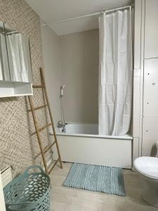 Cozy appartement 41 m2 Saint Etienne lumineux , Balcon et Ascenseur