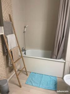 Cozy appartement 41 m2 Saint Etienne lumineux , Balcon et Ascenseur