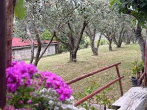 Apartma Vista Baredi