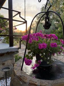 Apartma Vista Baredi