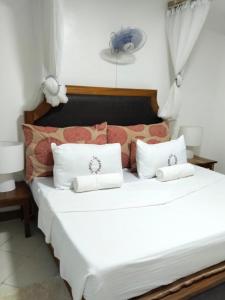 Maficho Diani