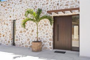 Villa Marbali Nueva Andalucia Marbella