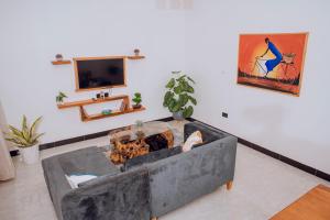Kokoz homes and apartments