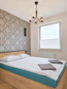 Family Homes - Apartamenty Morelowa