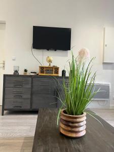 Studio Lumineux - Boulevard de Bercy