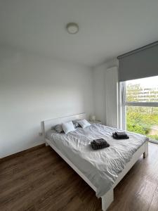 Cube Apartamenty