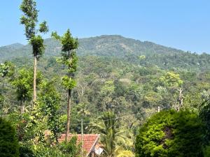 new shivalaya homestay