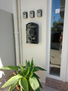 Eliana Studio
