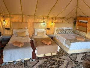 Camels house apartment