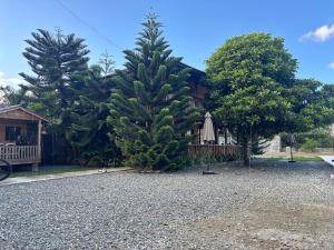 MI Casita