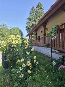 Miluška