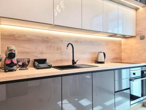 Friendly Family Luxury Apartment