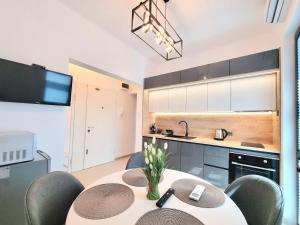 Friendly Family Luxury Apartment