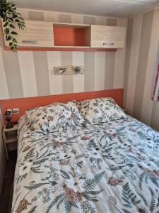 Mobile Home