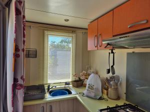 Mobile Home