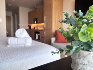 C5103 Outstanding Studio in the Heart of Downtown