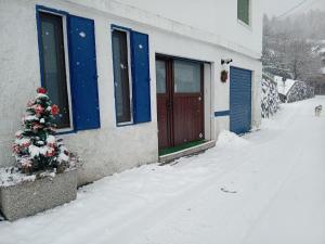 Alloggio Centro Torgnon vicino impianti sci