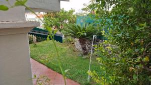 La Ginestra
