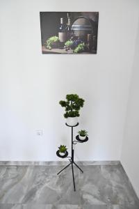 Apartman SOFIJA
