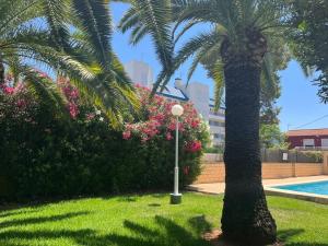 Marina Blau Holiday Dreams