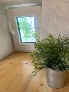 Cesis city apartment