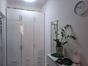 Studio Forest