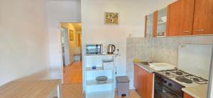 Apartment Branko